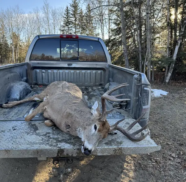 North Alberta Outfitters, photo 3
