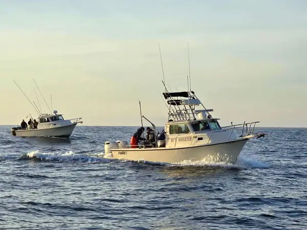 North Bay Fishing Charters, Bodega Bay, CA