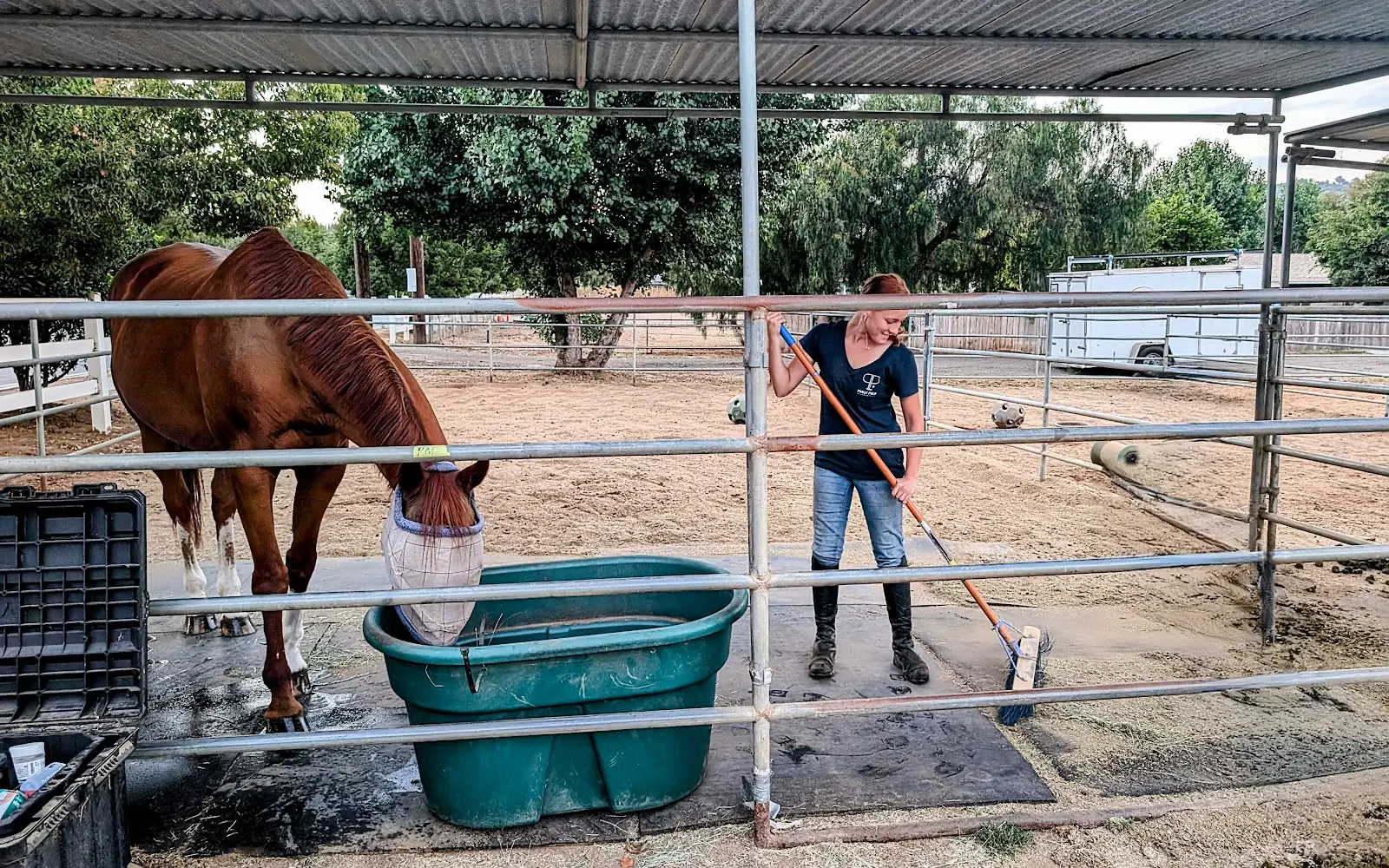 North County Equestrian Center