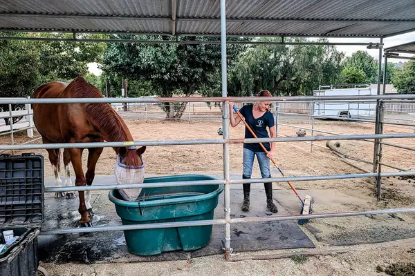 North County Equestrian Center