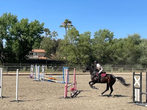 North County Equestrian Center, photo 1