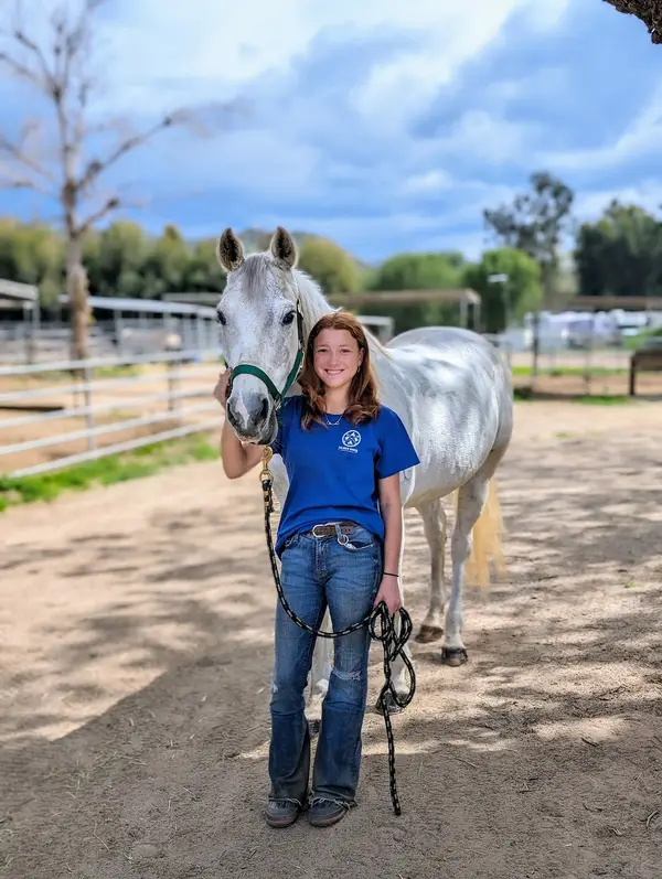 North County Equestrian Center, photo 2