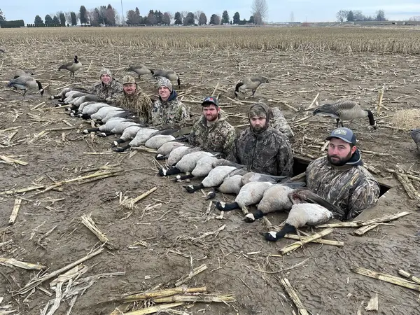 North Flight Waterfowl