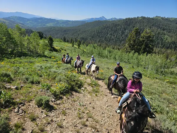 North Fork Trail Rides, Hoback Junction, WY