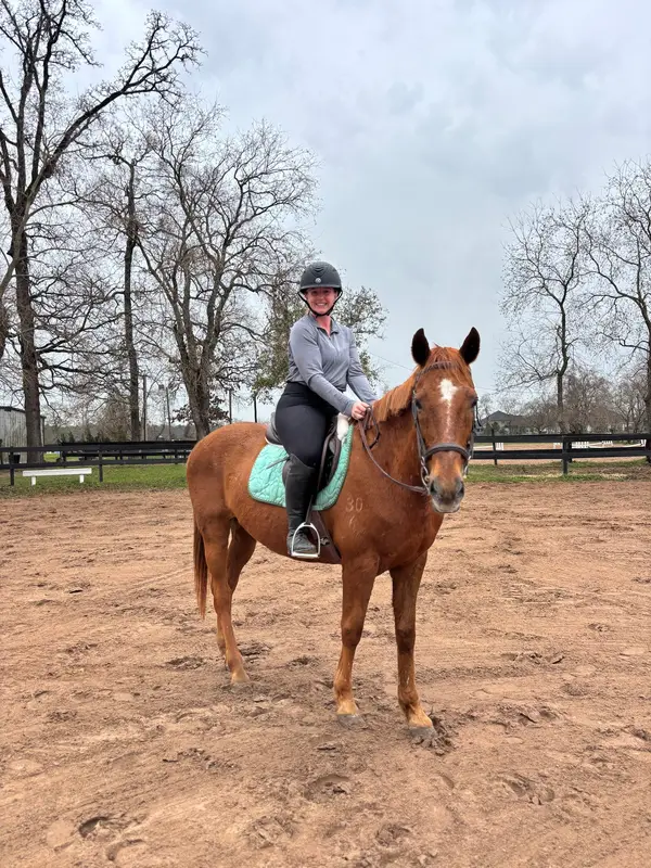 North Houston Horse Park