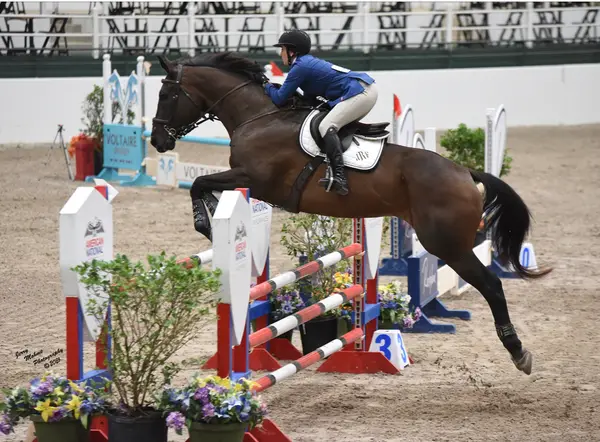 North Houston Horse Park, photo 1