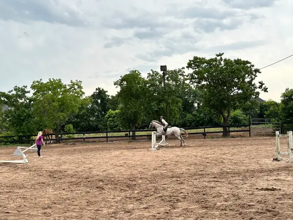 North Houston Horse Park, photo 2
