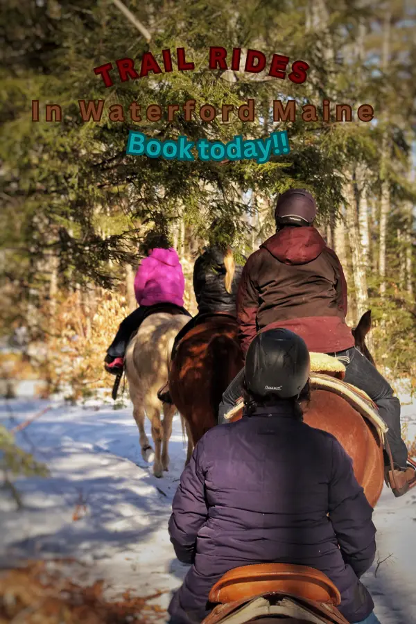 North Ridge Ranch - trail rides in Maine