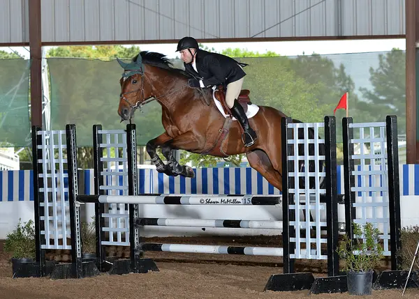 North Texas Equestrian Center, photo 1