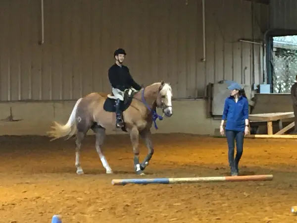 North Texas Equestrian Center, photo 2