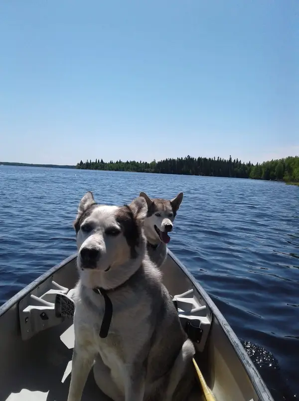 Northern Outfitters, photo 2