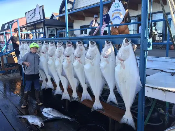 O'Fish'ial Charters of Alaska, Homer, AK