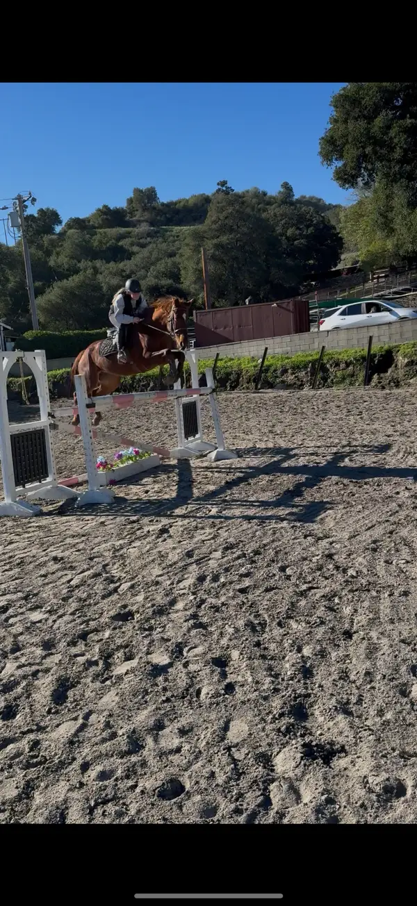 Oak Canyon Equestrian Center, photo 3