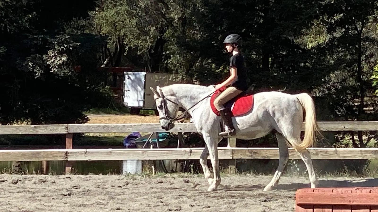 Oak Creek Training Stables