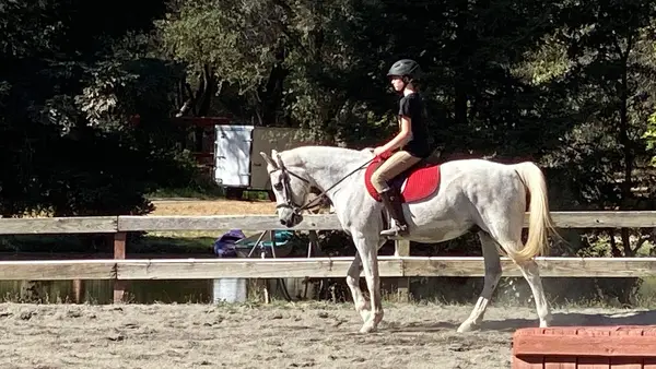 Oak Creek Training Stables
