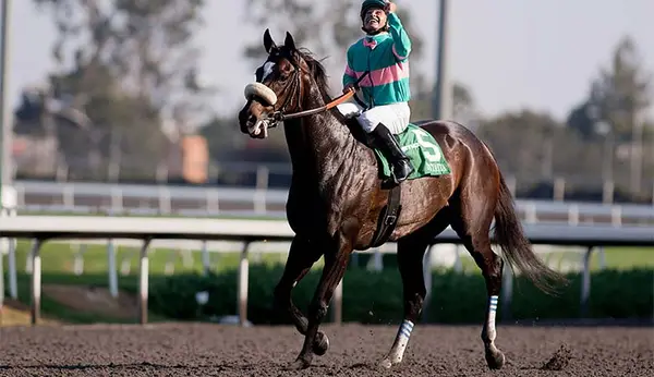Oak Creek Training Stables, photo 3