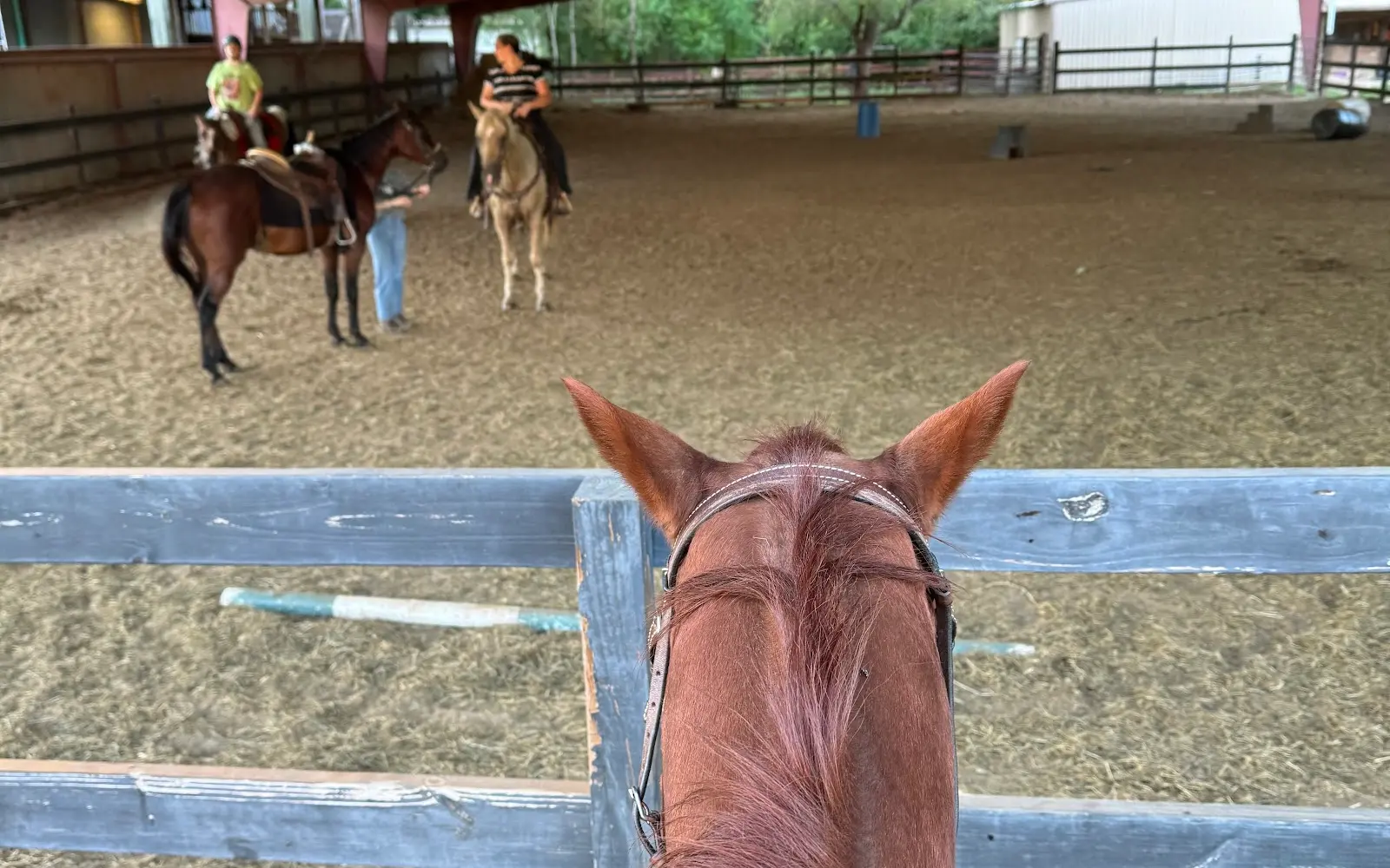 Oak Hollow Equestrian Center