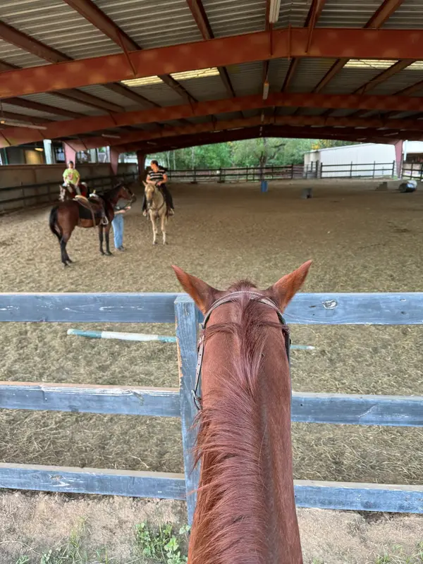 Oak Hollow Equestrian Center