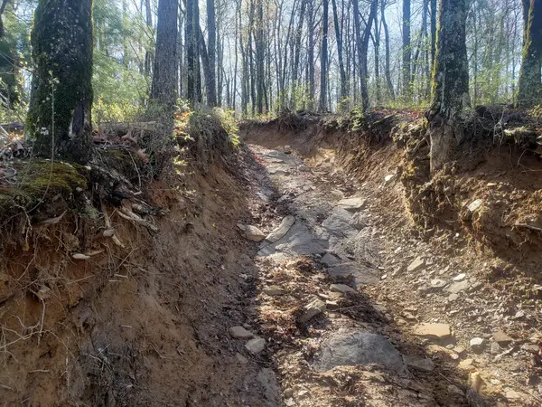 Oakey Mountain OHV Trails