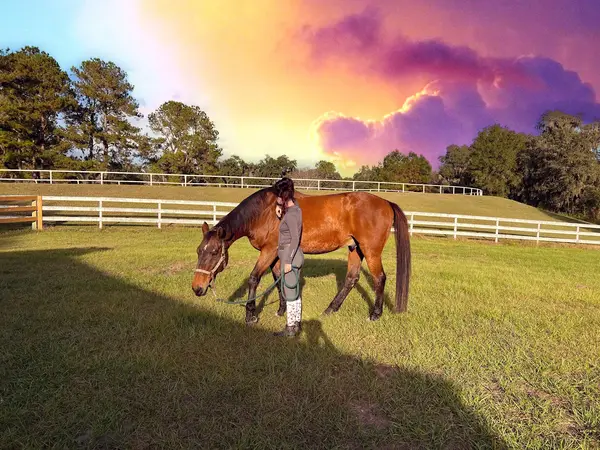 Oakmore Equestrian Center, photo 2