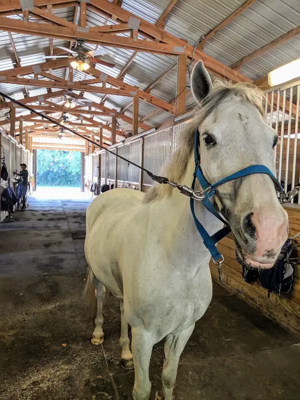 Oakmore Equestrian Center, photo 3