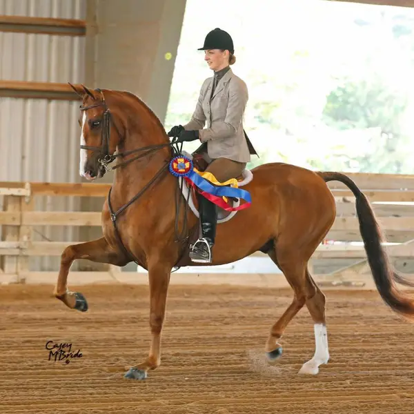Oakridge Riding Academy