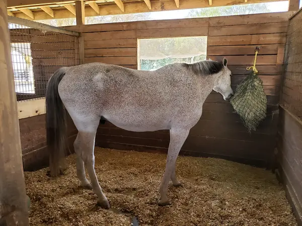 Oakwell Farms, photo 3