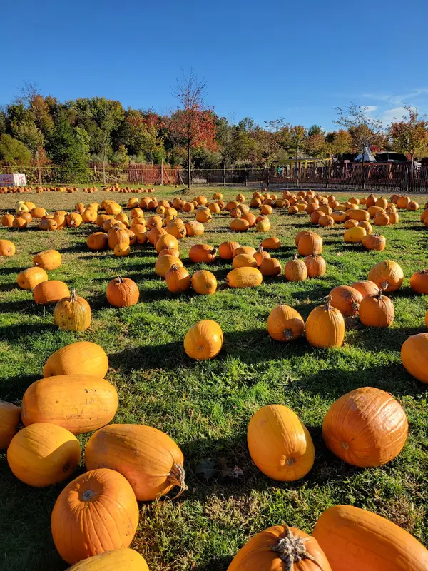 Oasis Family Farm, Robbinsville Twp, NJ