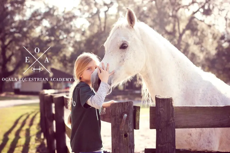 Ocala Equestrian Academy