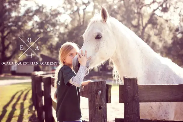 Ocala Equestrian Academy