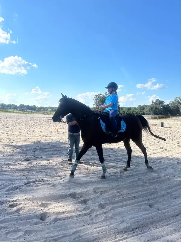 Ocala Equestrian Academy, photo 3