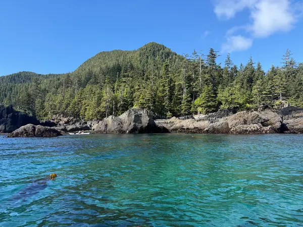 Ocean Sound Kayaking, photo 2