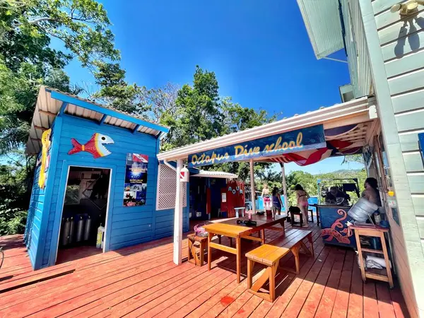 Octopus Dive School