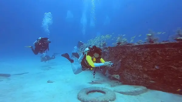 Octopus Diving Centre