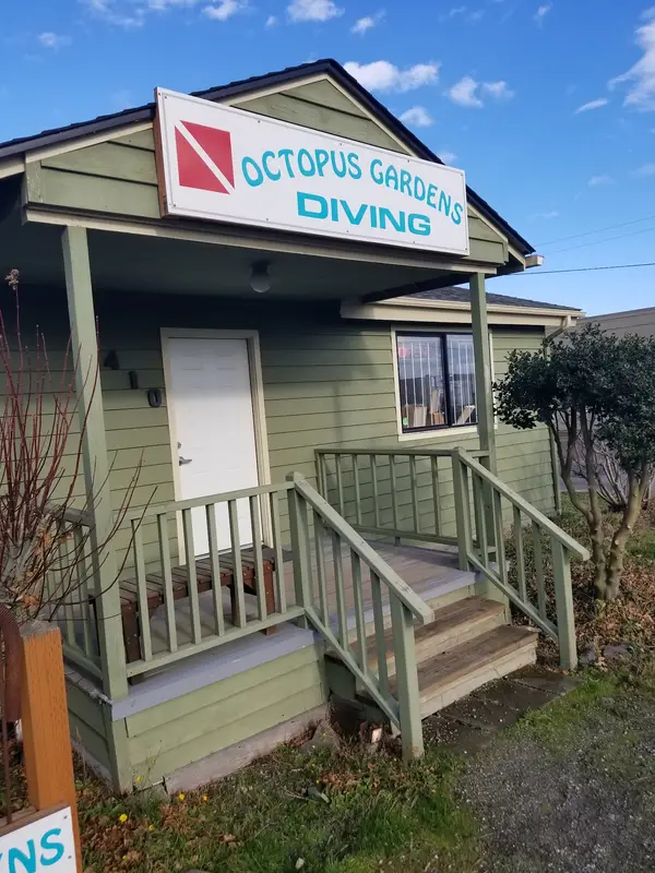 Octopus Gardens Diving a YSS Dive Company