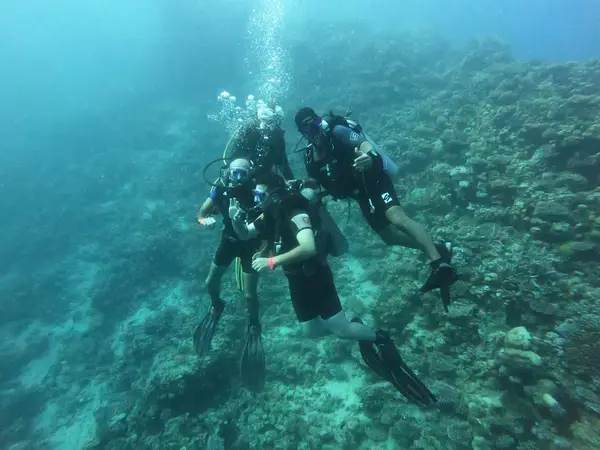 Octopus World Dahab Dive Center