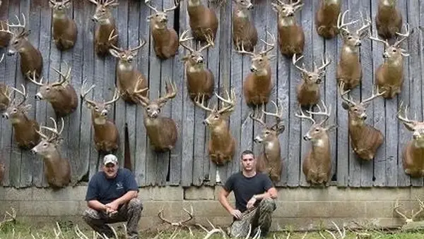 Ohio Bowhunting Outfitters