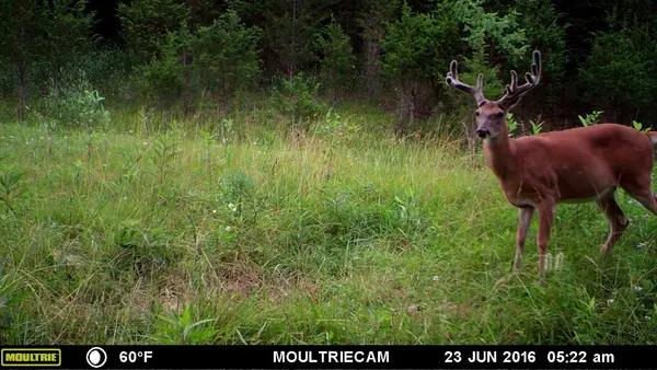 Ohio Premier Trophy Outfitters