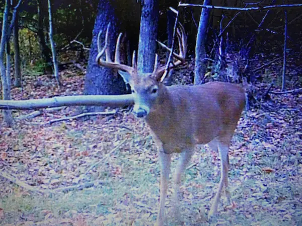 Ohio Whitetail Ridge Outfitters