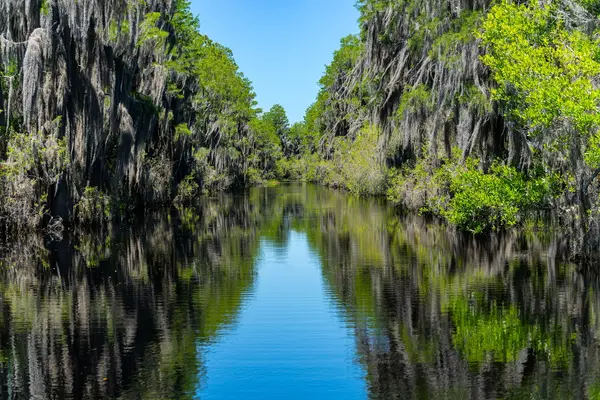 Okefenokee Adventures