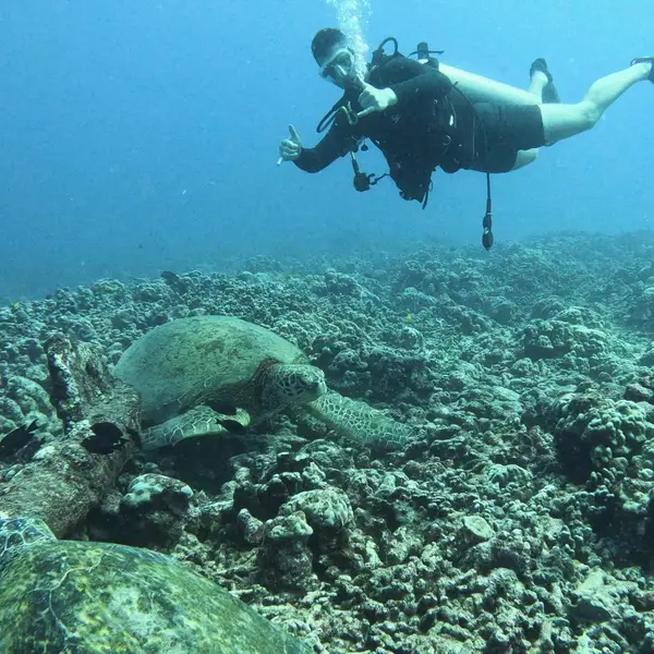 Ola ParaDive Scuba Oahu