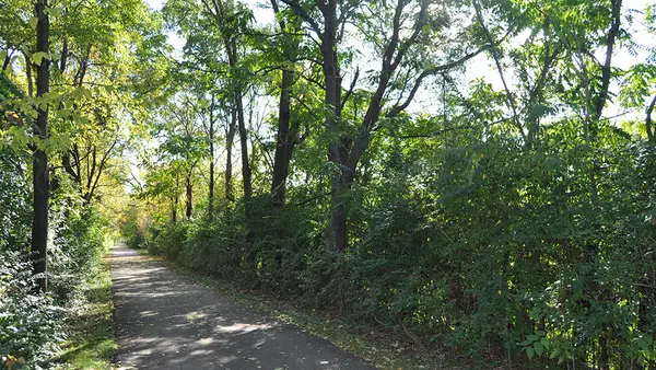 Old Plank Road Trail - Park Road Access