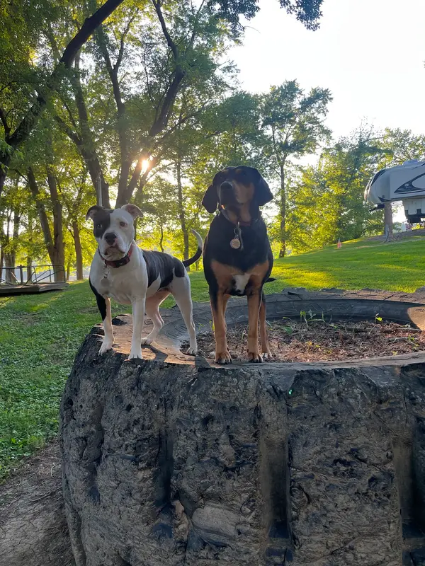 Olde Oak RV Park & Campground
