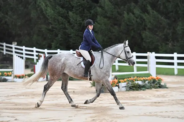 On Course Riding Academy