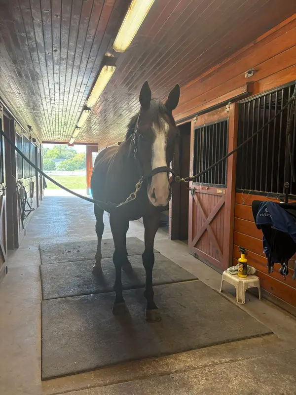 On Course Riding Academy