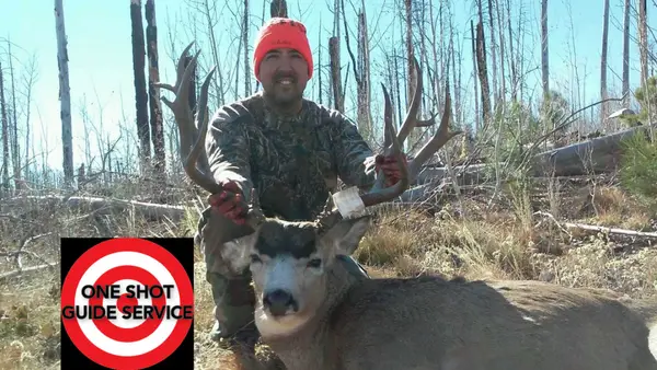 One Shot Guide Service, Hunting Guide & Outfitter Arizona - Mormon Lake, AZ