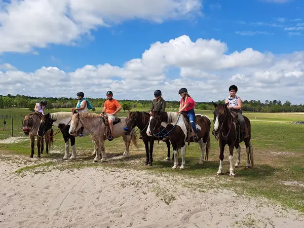 Orange Blossom Trail Rides