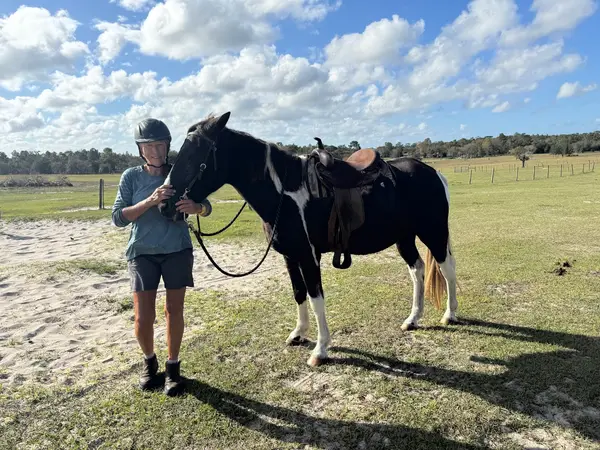 Orange Blossom Trail Rides, photo 2