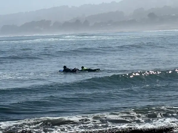 OrcaSurf Academy/ Academia de surf en Punta de Lobos