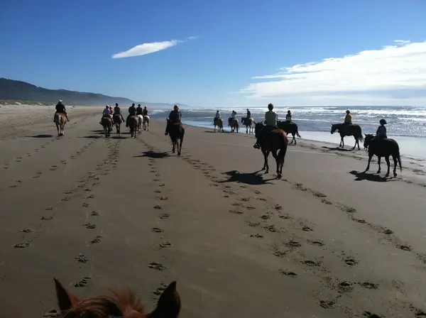 Oregon Beach Rides